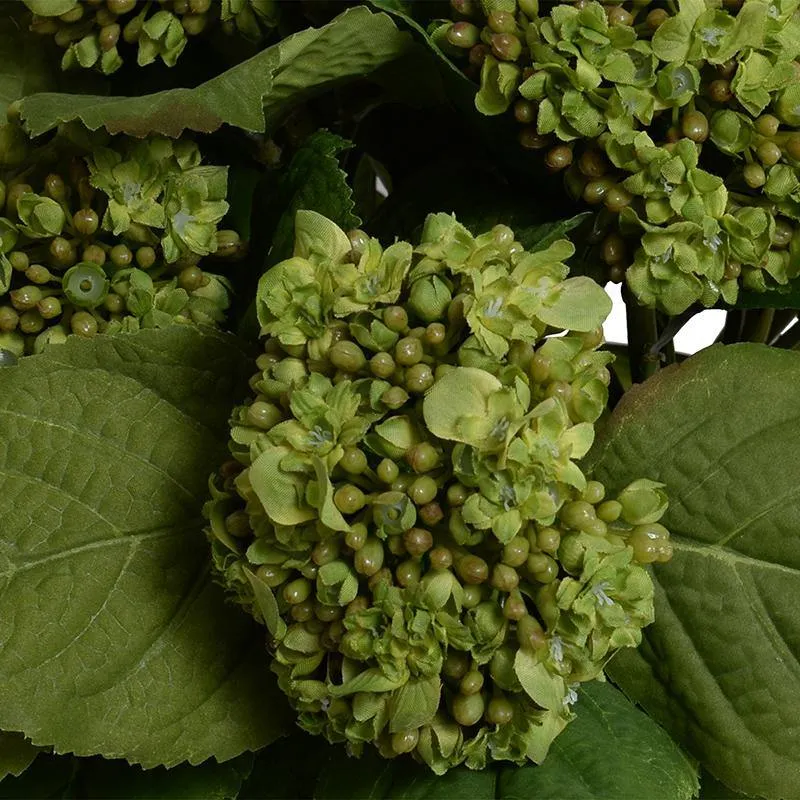 Hydrangea Bud Bouquet in Leaf Lined Glass 12"H