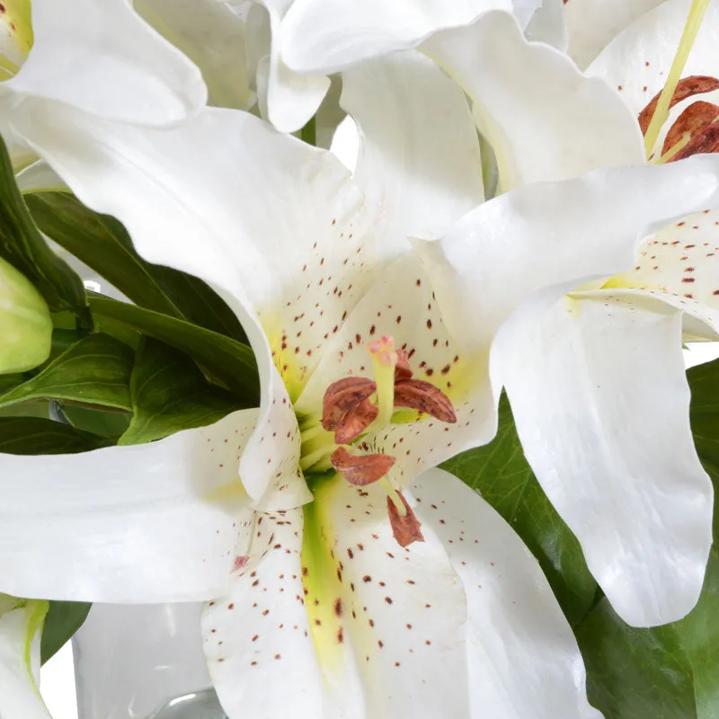Lily Arrangement